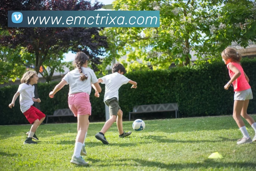 EMC体育平台生态图